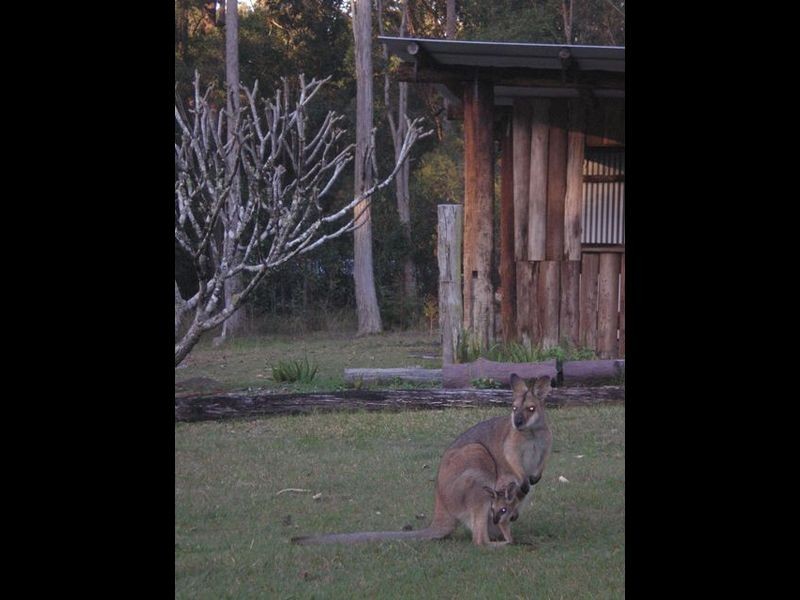 Lot 74_ Mahogony Road, New Italy NSW 2472