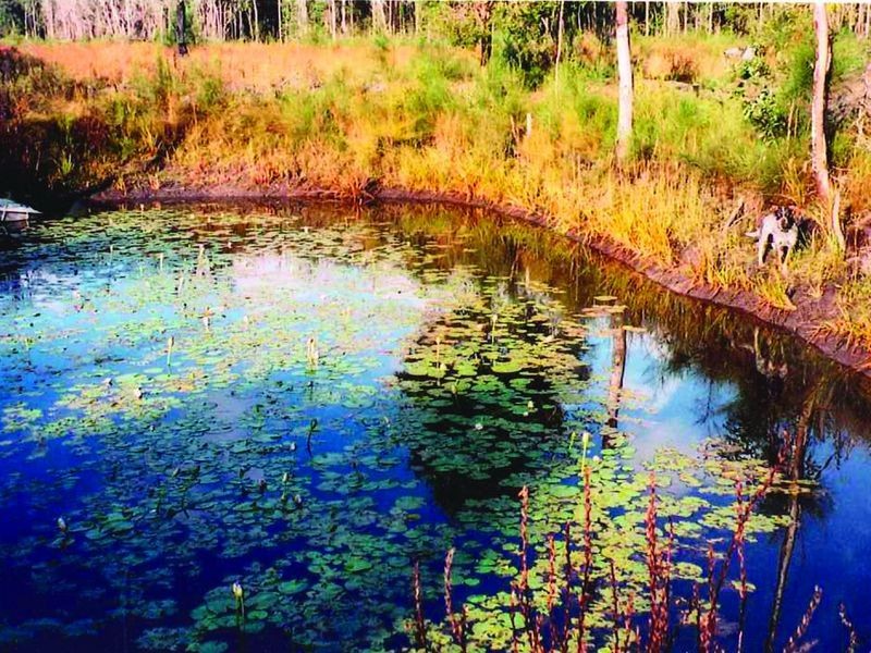 899 Swan Bay Road, New Italy NSW 2472