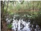 Lot 3 Whites Road, Woodburn NSW 2472