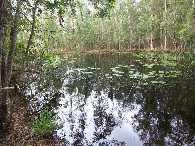 Lot 3 Whites Road, Woodburn NSW 2472