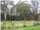 Lot 3_ Whites Road, Woodburn NSW 2472