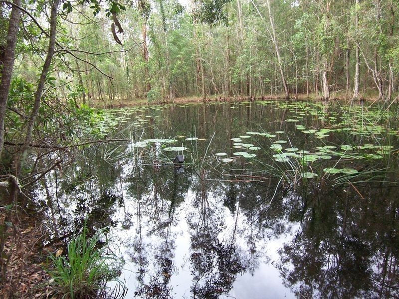 Lot 3_ Whites Road, Woodburn NSW 2472