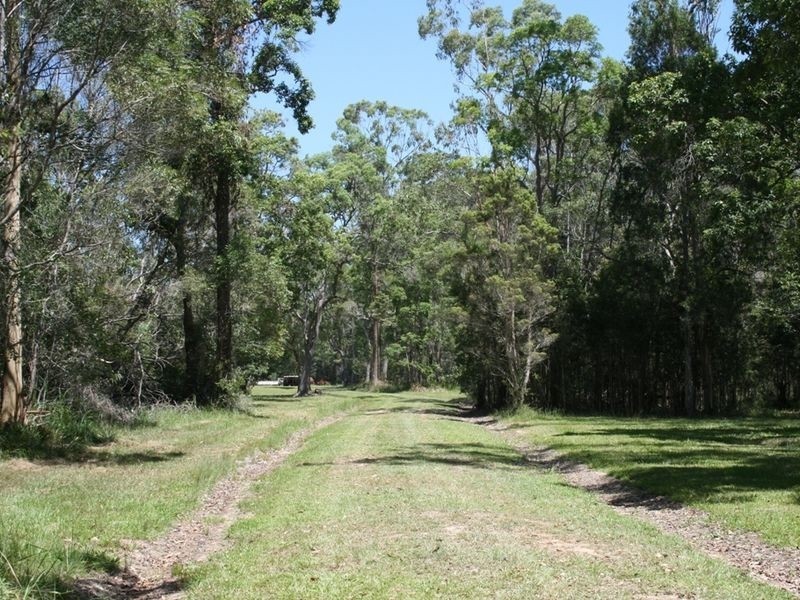 2080 Bungawalbin Whiporie Road, Bungawalbin NSW 2469
