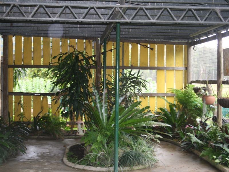 260 Beach  Road, Evans Head NSW 2473