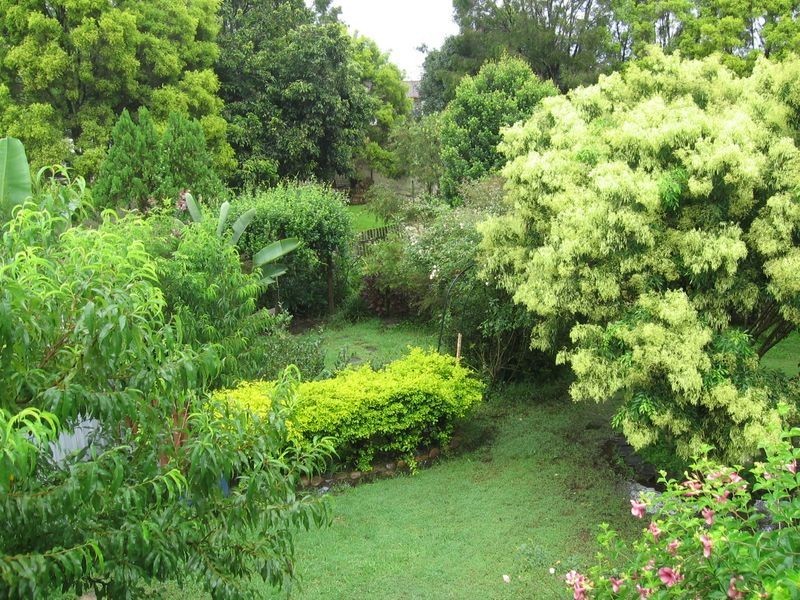 14 Norton Street, Kyogle NSW 2474