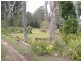 640 Moonem New Italy Road, Woodburn NSW 2472