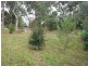 Eltham VIC 3095