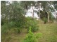 Eltham VIC 3095
