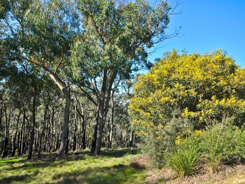 195 Alma Road, Panton Hill VIC 3759