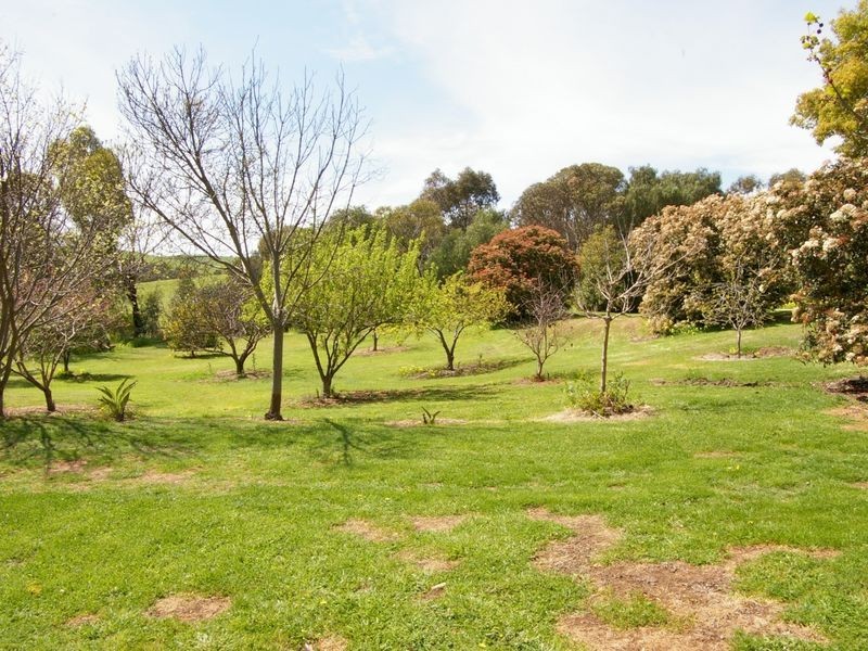 One Tree Hill SA 5114