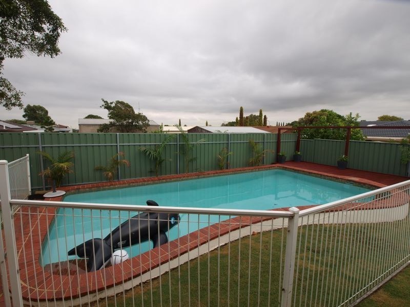 42 Doradus Avenue, St Agnes SA 5097