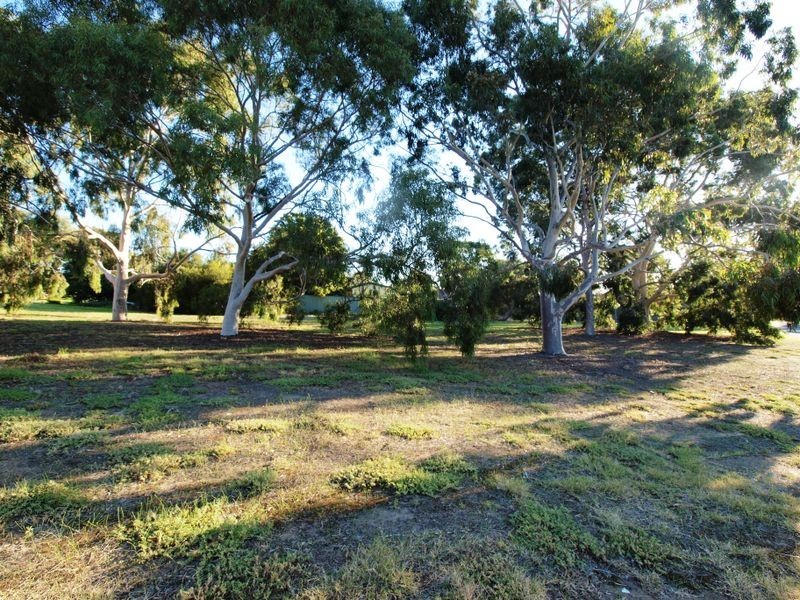 12 Bellvue St, Vista SA 5091