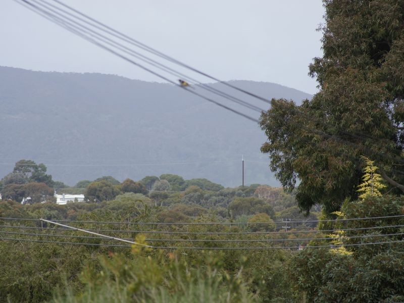 Lot 382 / Knightsbridge Ave, Valley View SA 5093