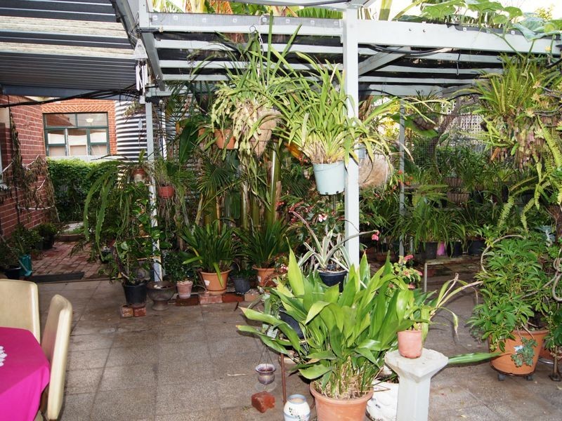 16 Sheridan St, Woodville North SA 5012