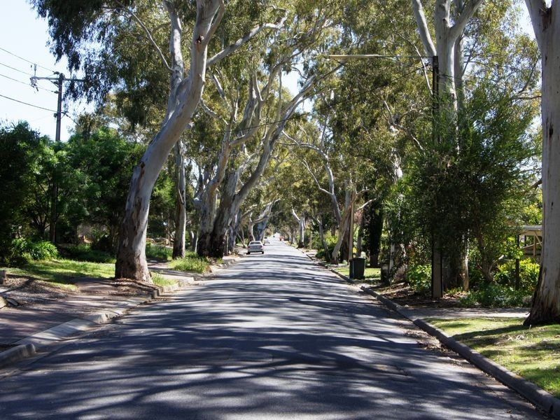 113 Barracks Road, Highbury SA 5089