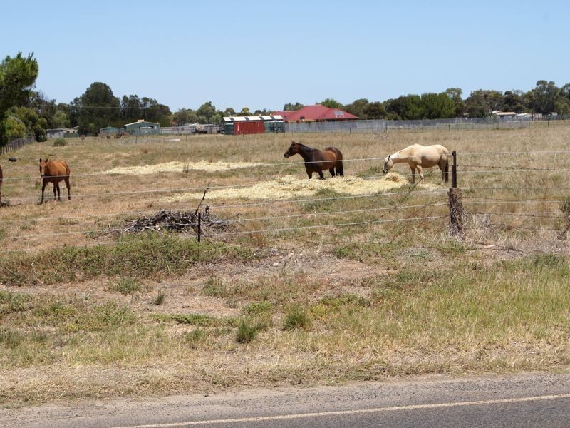 6 Hayman Road, Two Wells SA 5501