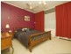 20 Horatio Street, Modbury SA 5092
