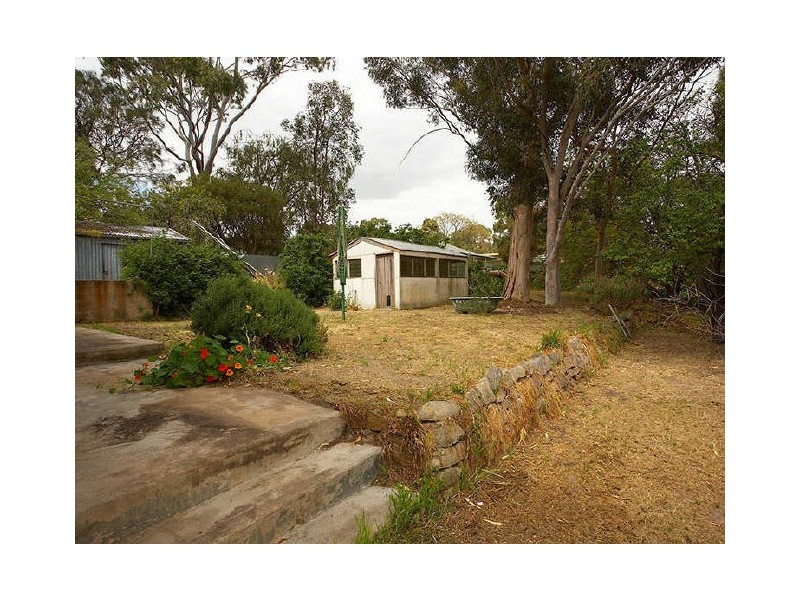 16 Rednall Street, Tea Tree Gully SA 5091