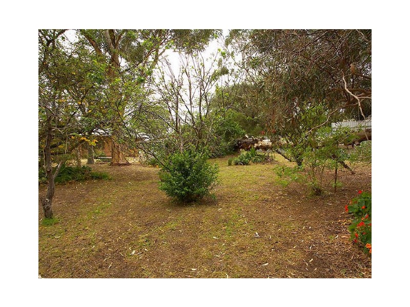 16 Rednall Street, Tea Tree Gully SA 5091