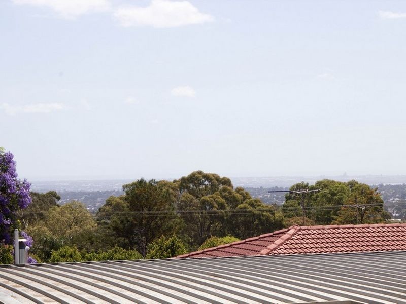 7 Camelia Street, Tea Tree Gully SA 5091