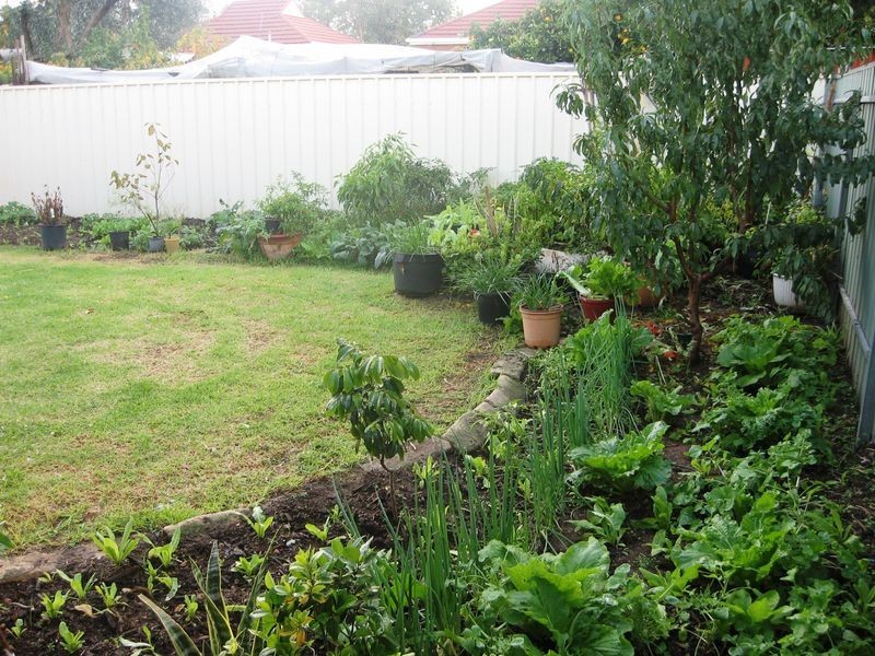 64 Pulsford Road, Prospect SA 5082