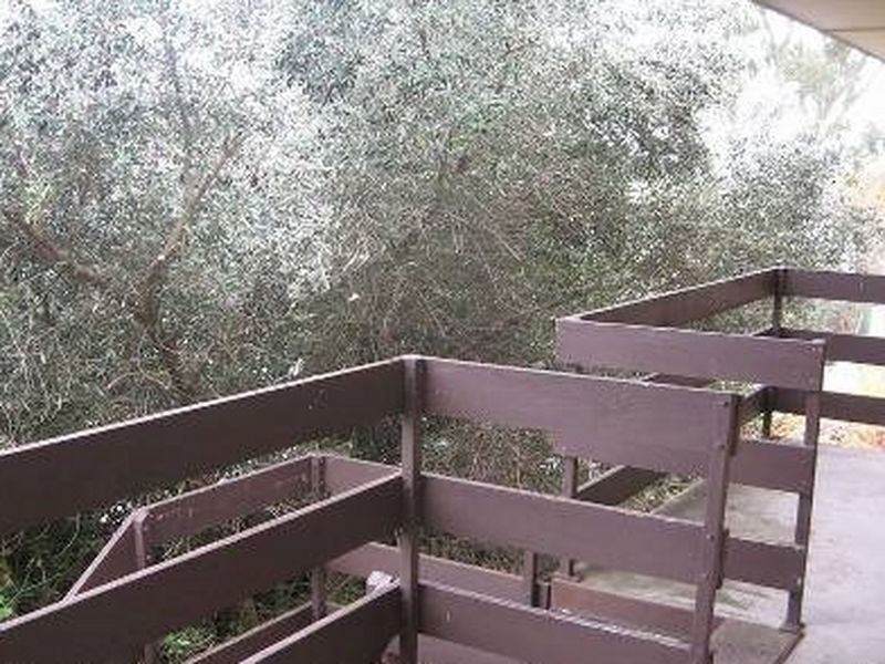 5/14 Burbank Avenue, Bedford Park SA 5042