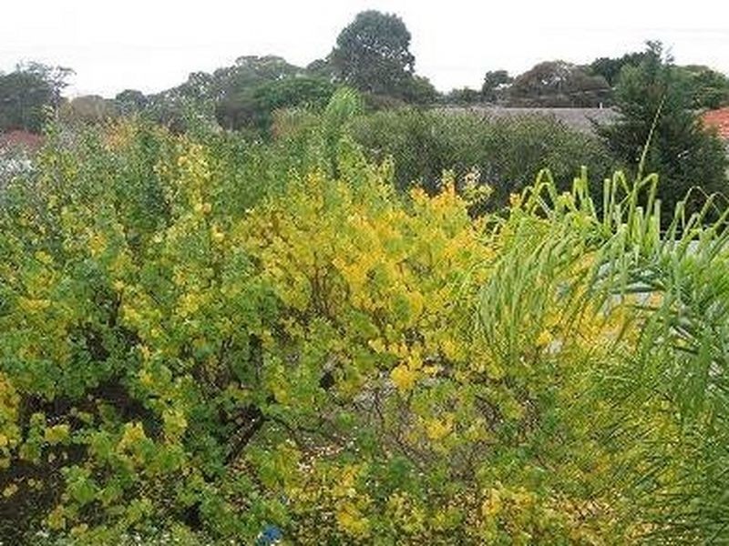 5/14 Burbank Avenue, Bedford Park SA 5042