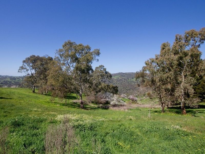 123 Torrens Hill Rd, Paracombe SA 5132