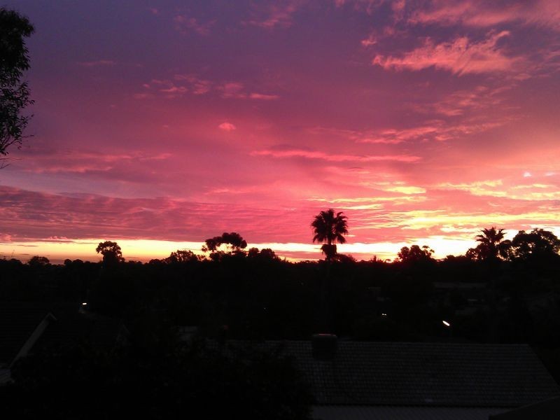 14 Catherine Drive, Redwood Park SA 5097