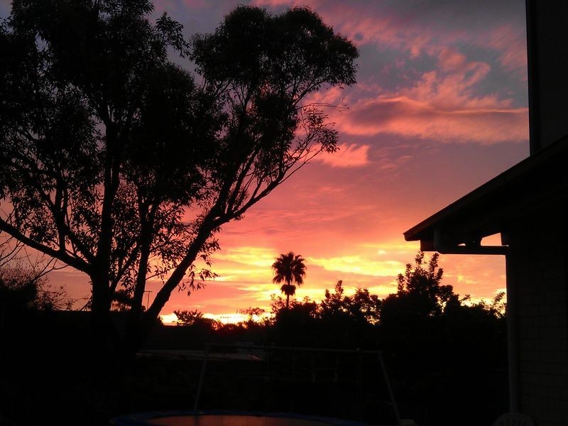 14 Catherine Drive, Redwood Park SA 5097