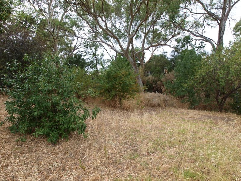 1166 North East Rd, St Agnes SA 5097