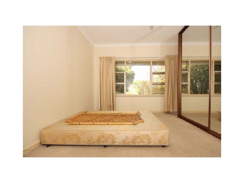 20 Geraldine Street, Valley View SA 5093