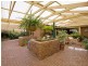 11 Mintanta Drive, Banksia Park SA 5091