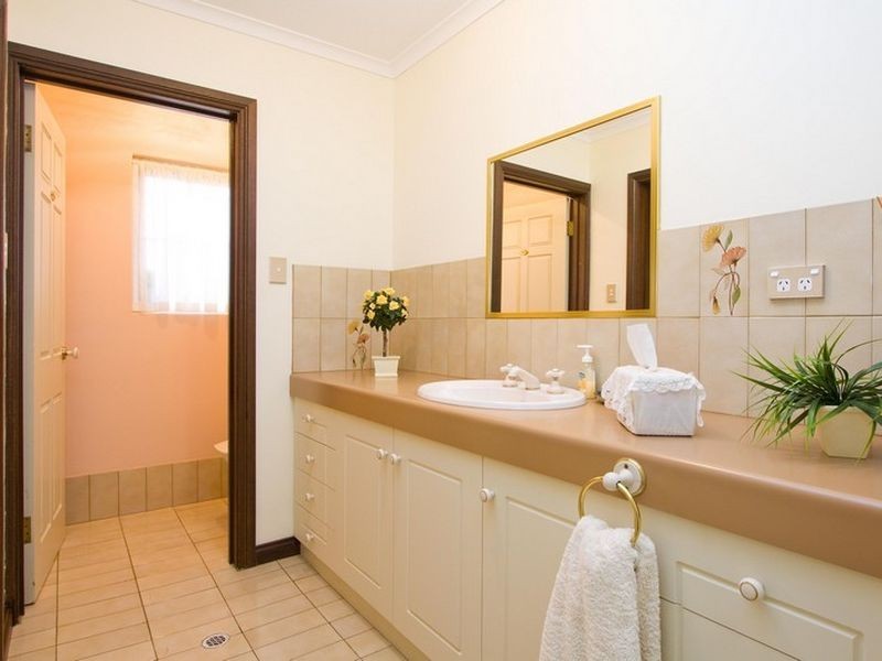 11 Mintanta Drive, Banksia Park SA 5091