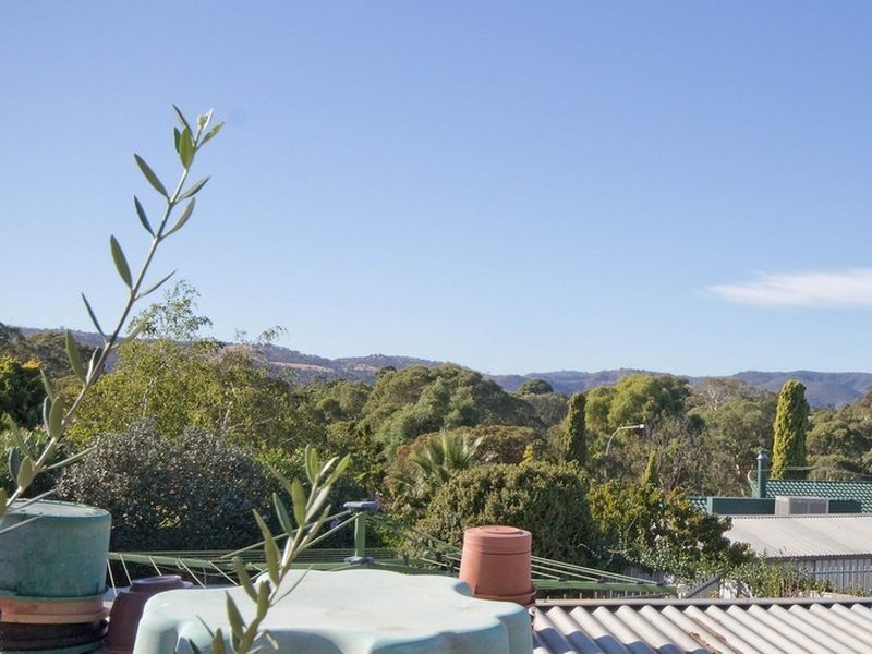 3 Ming Court, Modbury Heights SA 5092