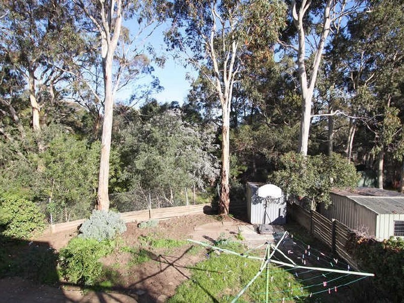 53 Altair Street, Hope Valley SA 5090