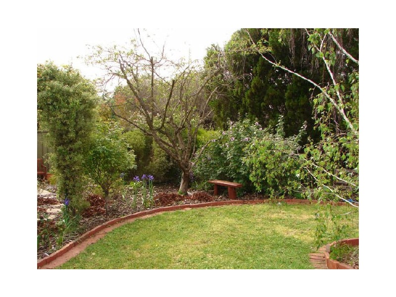 11 Hillrise Ct, Wynn Vale SA 5127