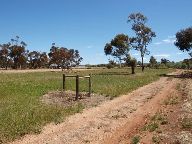 Frances Terrace, Lochiel SA 5510