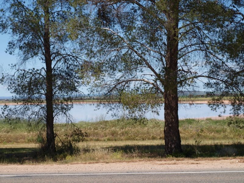 Frances Terrace, Lochiel SA 5510