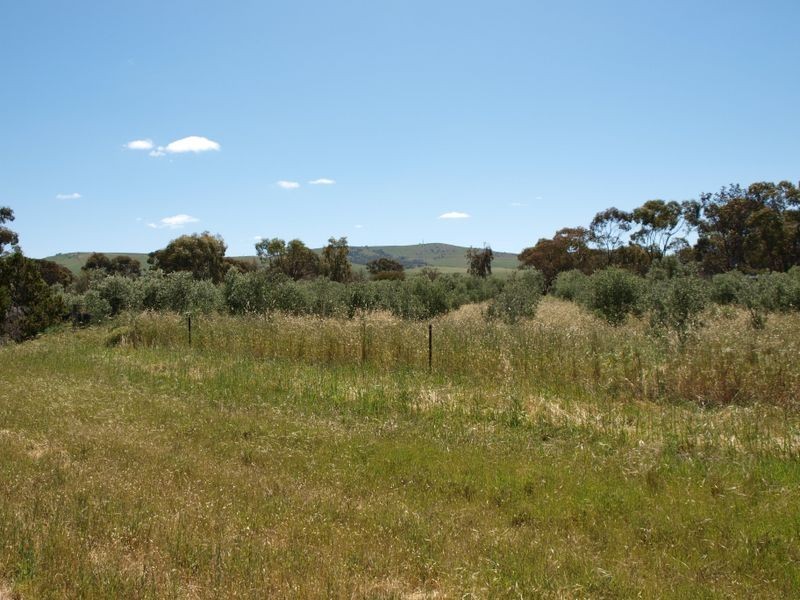 Frances Terrace, Lochiel SA 5510