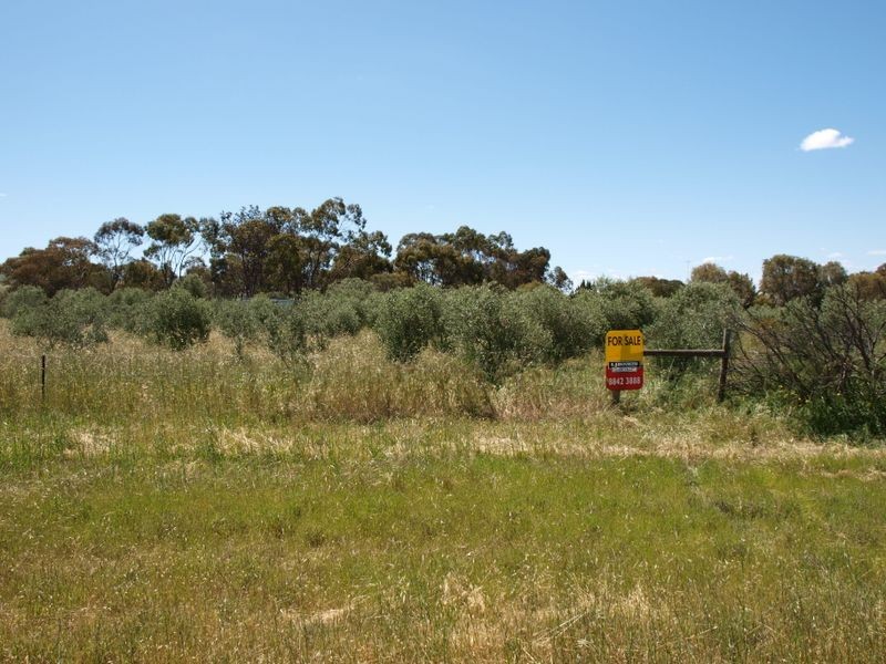 Frances Terrace, Lochiel SA 5510