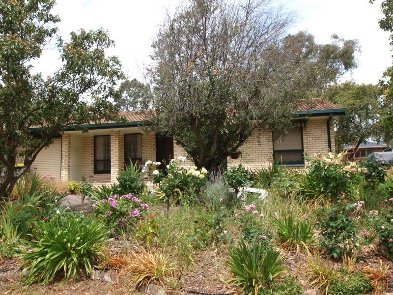 6A Storey Cres, St Agnes SA 5097