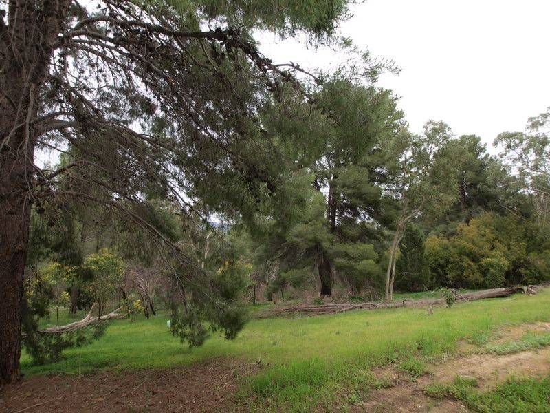 81 Valley View Drive, Highbury SA 5089