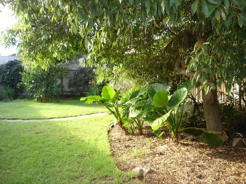 27 Elliott Avenue, Holden Hill SA 5088