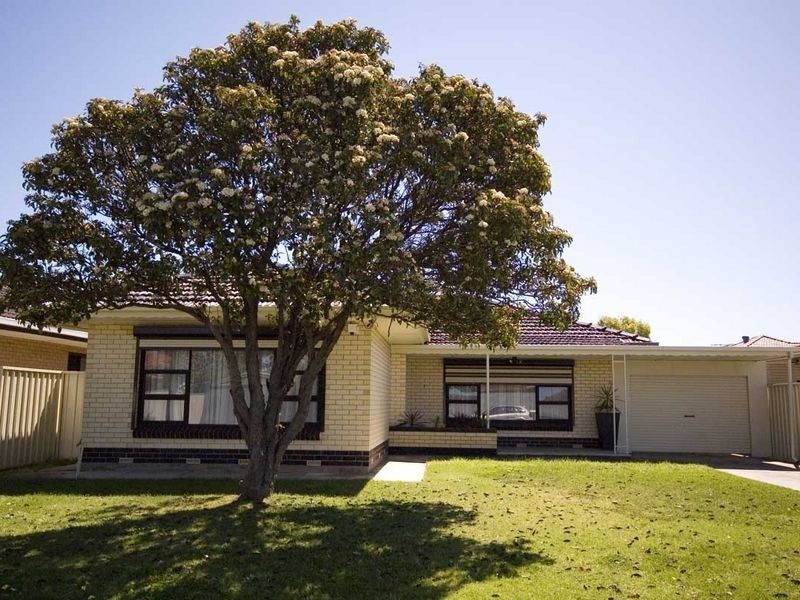 31 Dumfries Avenue, Seaton SA 5023