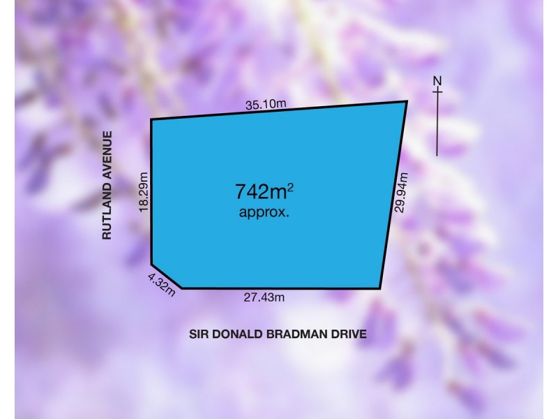 564 Sir Donald Bradman Drive, Lockleys SA 5032