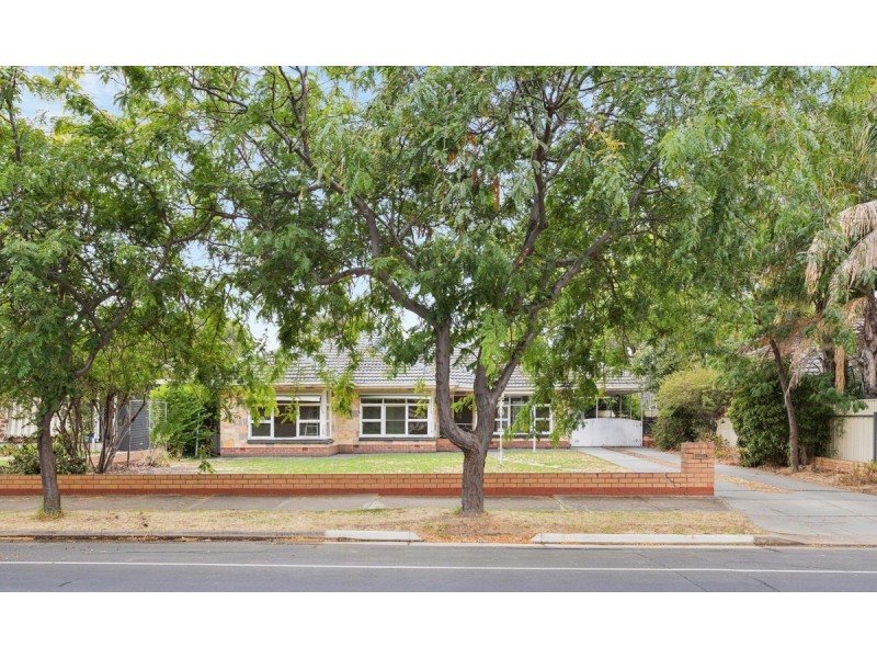 61 Fulham Park Drive, Lockleys SA 5032