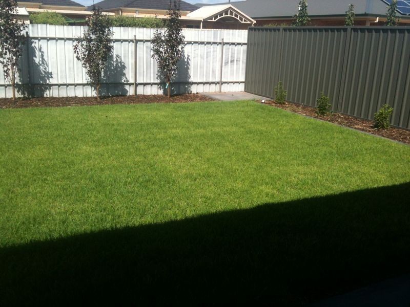 65A Balcombe Avenue, Seaton SA 5023