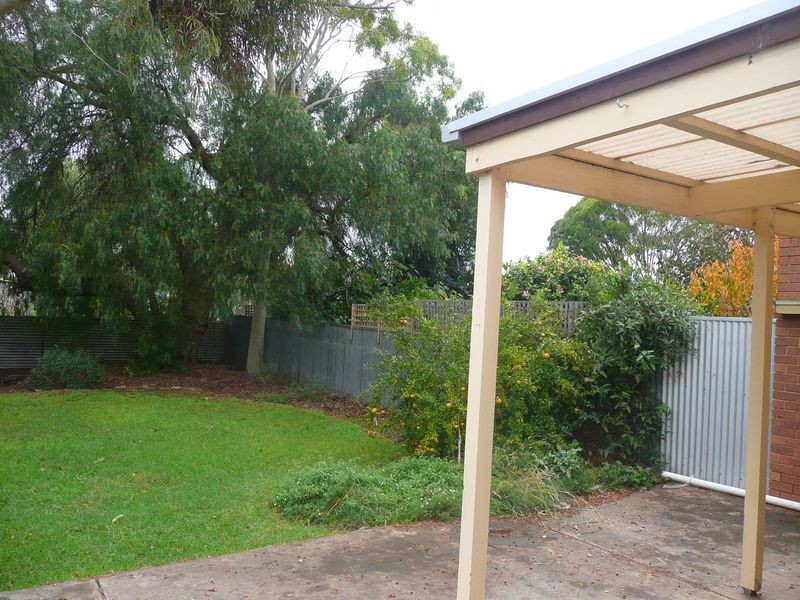 17 Fischer Street, Welland SA 5007