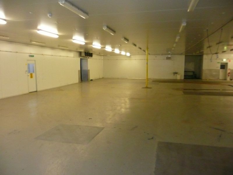 6 Jervois Street, Albert Park SA 5014